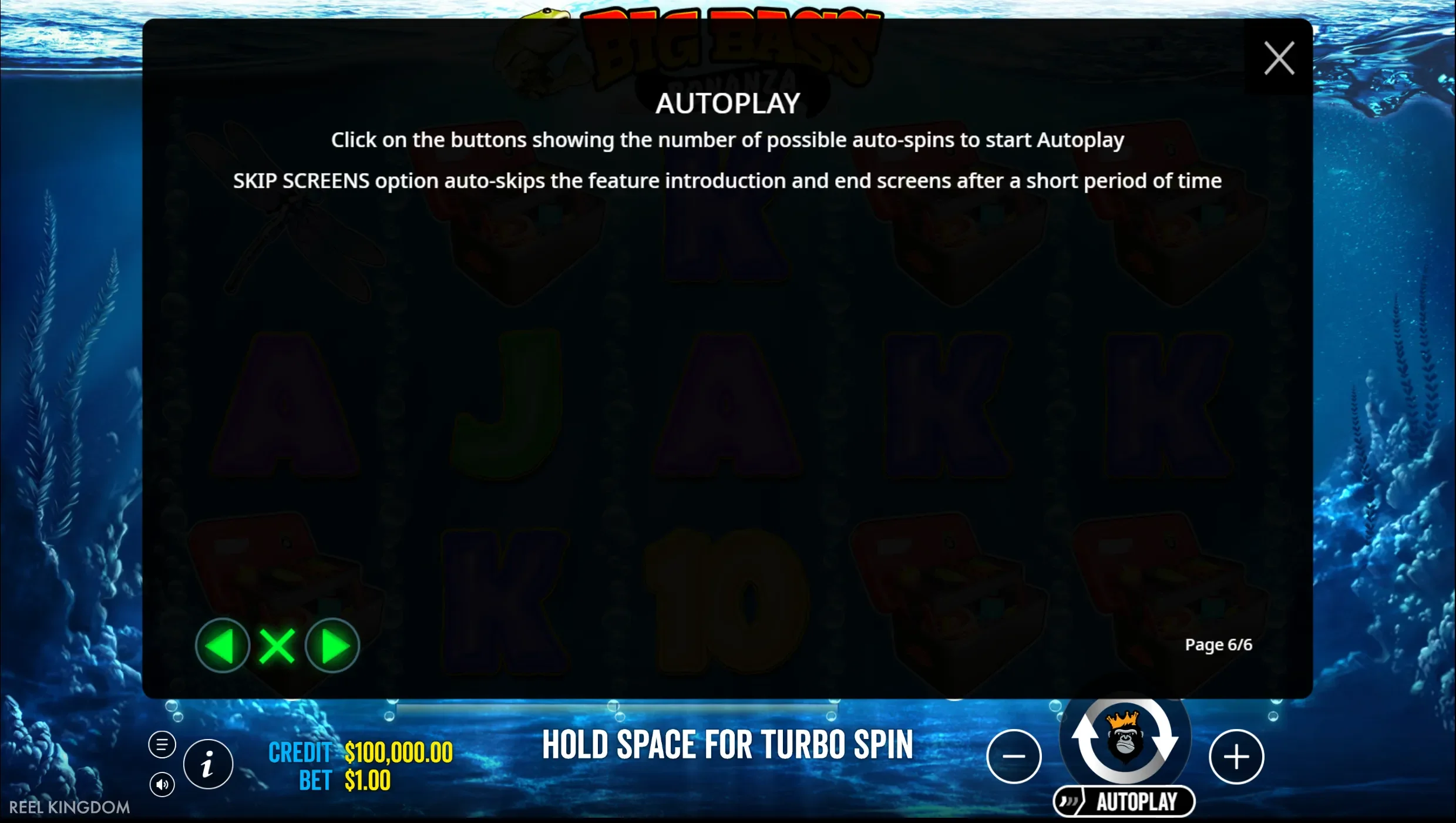 Big Bass Bonanza autoplay rules screen explaining auto spin selection and the skip screens option at a casino not on GamStop
